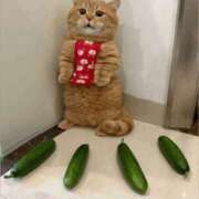 ヒメ日記 2025/08/16 01:04 投稿 金井 桃李（とうり）