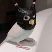 ヒメ日記 2025/08/16 04:04 投稿 金井 桃李（とうり）