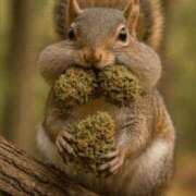 ヒメ日記 2025/08/18 08:46 投稿 金井 桃李（とうり）