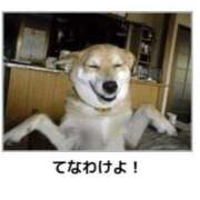 ヒメ日記 2025/08/18 08:54 投稿 金井 桃李（とうり）