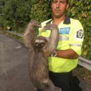 ヒメ日記 2025/08/18 09:24 投稿 金井 桃李（とうり）