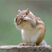 ヒメ日記 2025/08/18 12:06 投稿 金井 桃李（とうり）