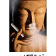 ヒメ日記 2025/08/18 18:14 投稿 金井 桃李（とうり）