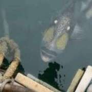 ヒメ日記 2025/08/19 02:13 投稿 金井 桃李（とうり）