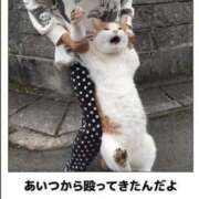 ヒメ日記 2025/08/22 08:30 投稿 金井 桃李（とうり）