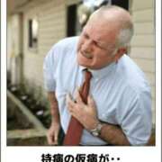 ヒメ日記 2025/08/26 10:56 投稿 金井 桃李（とうり）