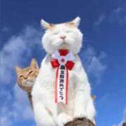 ヒメ日記 2025/08/29 00:04 投稿 金井 桃李（とうり）