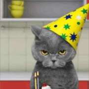 ヒメ日記 2025/08/29 14:24 投稿 金井 桃李（とうり）