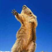 ヒメ日記 2025/08/30 08:34 投稿 金井 桃李（とうり）