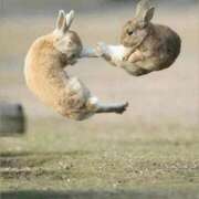 ヒメ日記 2025/08/31 05:30 投稿 金井 桃李（とうり）