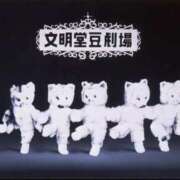 ヒメ日記 2025/08/31 19:44 投稿 金井 桃李（とうり）