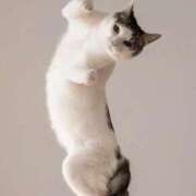 ヒメ日記 2025/09/06 05:24 投稿 金井 桃李（とうり）