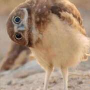 ヒメ日記 2025/09/07 08:14 投稿 金井 桃李（とうり）