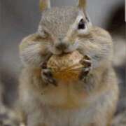 ヒメ日記 2025/09/07 08:24 投稿 金井 桃李（とうり）