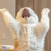 ヒメ日記 2025/09/07 11:54 投稿 金井 桃李（とうり）