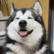 ヒメ日記 2025/09/07 12:24 投稿 金井 桃李（とうり）