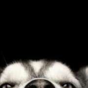 ヒメ日記 2025/09/09 08:54 投稿 金井 桃李（とうり）