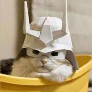 ヒメ日記 2025/09/10 19:54 投稿 金井 桃李（とうり）