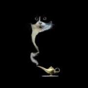 ヒメ日記 2025/09/13 18:14 投稿 金井 桃李（とうり）