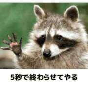 ヒメ日記 2025/09/14 05:44 投稿 金井 桃李（とうり）