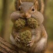 ヒメ日記 2025/09/14 10:33 投稿 金井 桃李（とうり）