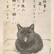 ヒメ日記 2025/09/14 11:10 投稿 金井 桃李（とうり）