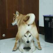 ヒメ日記 2025/09/14 13:14 投稿 金井 桃李（とうり）