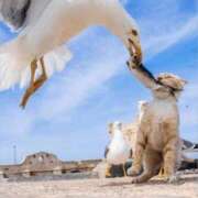 ヒメ日記 2025/09/16 12:05 投稿 金井 桃李（とうり）