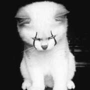 ヒメ日記 2025/09/16 18:24 投稿 金井 桃李（とうり）