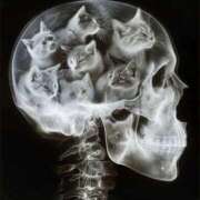 ヒメ日記 2025/09/17 05:53 投稿 金井 桃李（とうり）