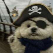 ヒメ日記 2025/09/17 16:14 投稿 金井 桃李（とうり）