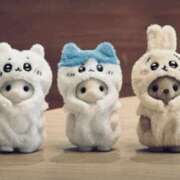 ヒメ日記 2025/09/20 23:34 投稿 金井 桃李（とうり）