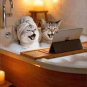 ヒメ日記 2025/10/01 17:44 投稿 金井 桃李（とうり）