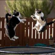 ヒメ日記 2025/10/02 01:24 投稿 金井 桃李（とうり）