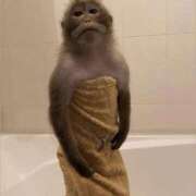 ヒメ日記 2025/10/02 03:56 投稿 金井 桃李（とうり）