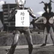 ヒメ日記 2025/10/06 04:15 投稿 金井 桃李（とうり）