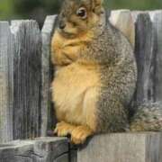 ヒメ日記 2025/10/06 06:44 投稿 金井 桃李（とうり）