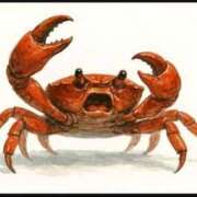 ヒメ日記 2025/10/07 16:24 投稿 金井 桃李（とうり）