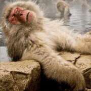 ヒメ日記 2025/10/07 18:49 投稿 金井 桃李（とうり）