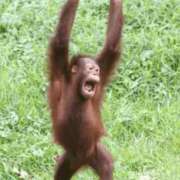 ヒメ日記 2025/10/09 20:46 投稿 金井 桃李（とうり）