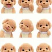 ヒメ日記 2025/10/11 01:24 投稿 金井 桃李（とうり）