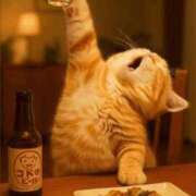 ヒメ日記 2025/10/11 04:14 投稿 金井 桃李（とうり）