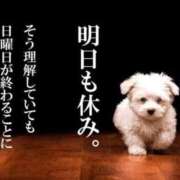 ヒメ日記 2025/10/12 17:43 投稿 金井 桃李（とうり）