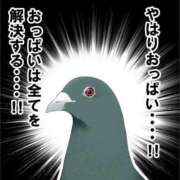 ヒメ日記 2025/10/14 10:54 投稿 金井 桃李（とうり）