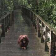 ヒメ日記 2025/10/15 06:01 投稿 金井 桃李（とうり）