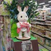 ヒメ日記 2025/10/17 04:04 投稿 金井 桃李（とうり）