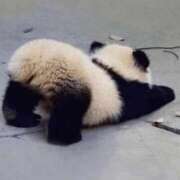 ヒメ日記 2025/10/17 20:34 投稿 金井 桃李（とうり）