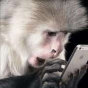 ヒメ日記 2025/10/18 19:36 投稿 金井 桃李（とうり）