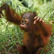 ヒメ日記 2025/10/19 23:02 投稿 金井 桃李（とうり）