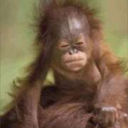 ヒメ日記 2025/10/20 15:36 投稿 金井 桃李（とうり）